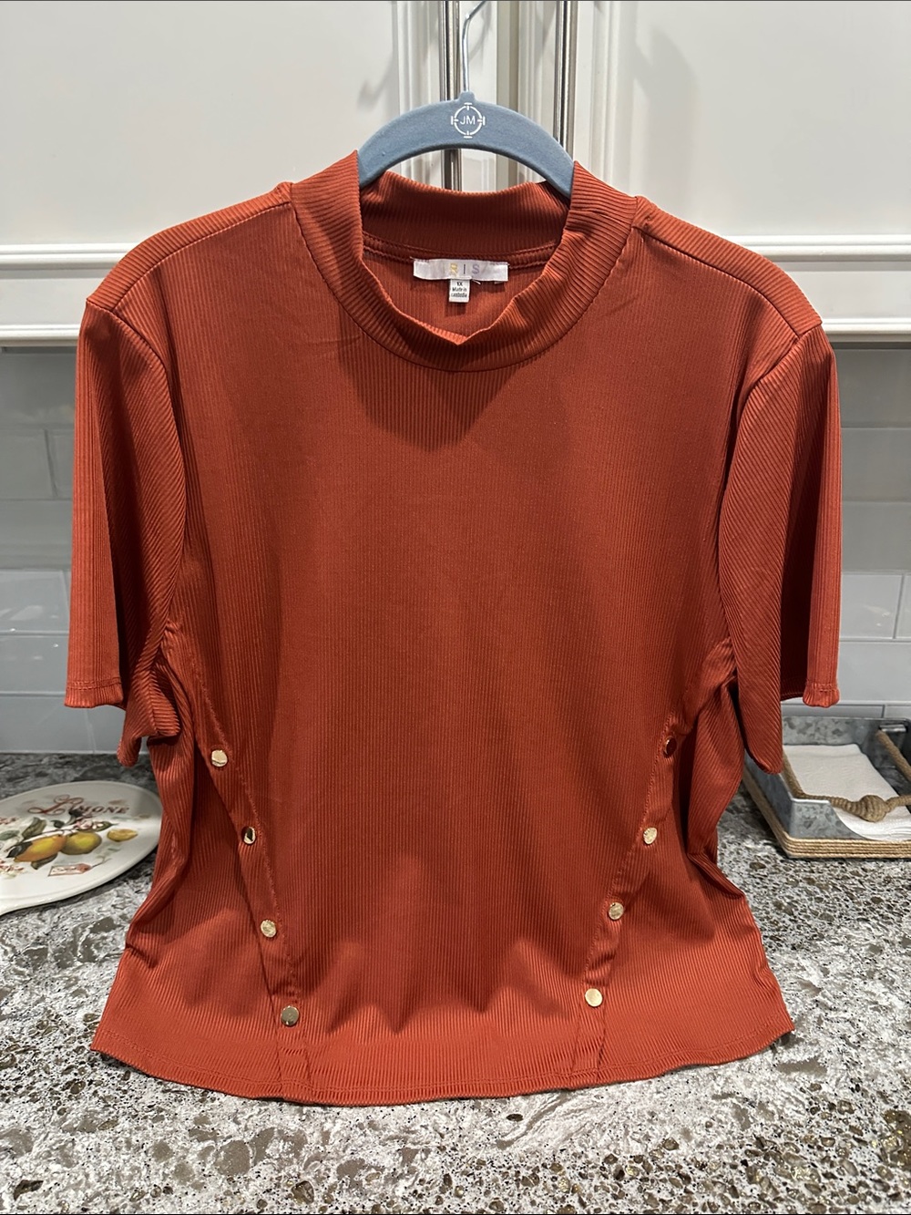 NEW Ribbed Mock Neck Short Sleeve Top in Rust